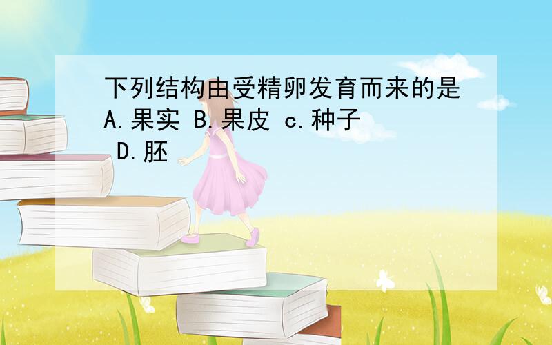 下列结构由受精卵发育而来的是A.果实 B.果皮 c.种子 D.胚