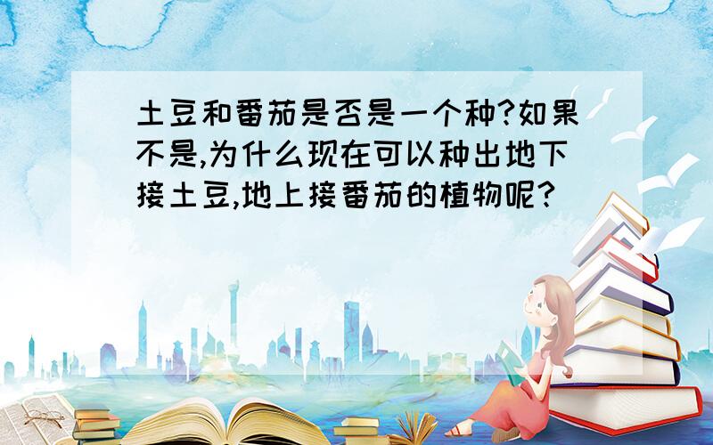 土豆和番茄是否是一个种?如果不是,为什么现在可以种出地下接土豆,地上接番茄的植物呢?