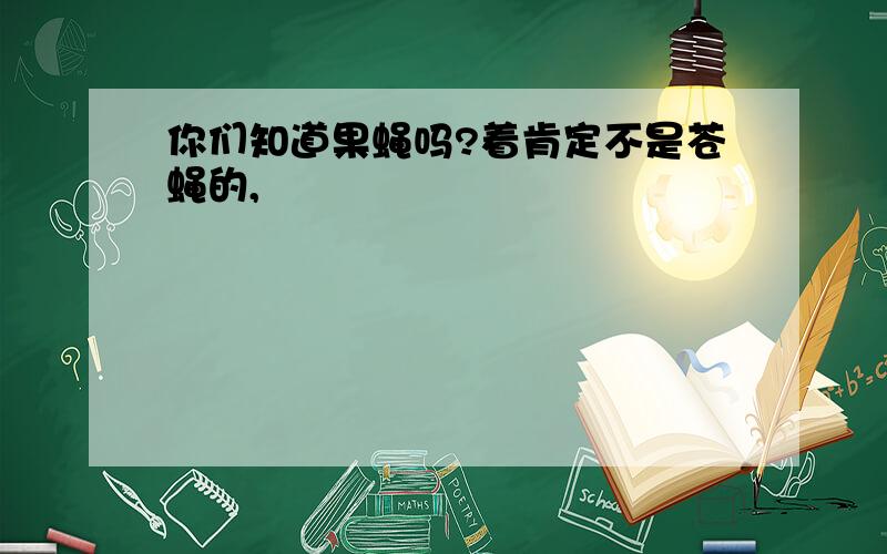 你们知道果蝇吗?着肯定不是苍蝇的,