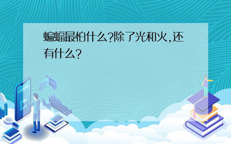 蝙蝠最怕什么?除了光和火,还有什么?