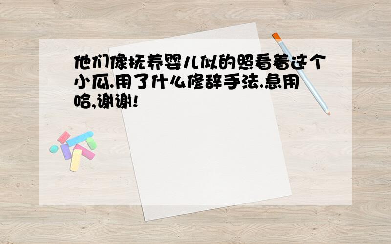 他们像抚养婴儿似的照看着这个小瓜.用了什么修辞手法.急用哈,谢谢!