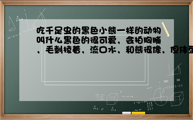 吃千足虫的黑色小熊一样的动物叫什么黑色的很可爱，会拍胸脯，毛刺棱着，流口水，和熊很像，但体型很小