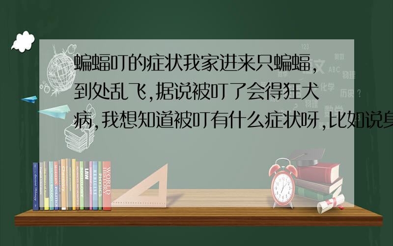 蝙蝠叮的症状我家进来只蝙蝠,到处乱飞,据说被叮了会得狂犬病,我想知道被叮有什么症状呀,比如说身上的痕迹,或者什么头晕之类的,