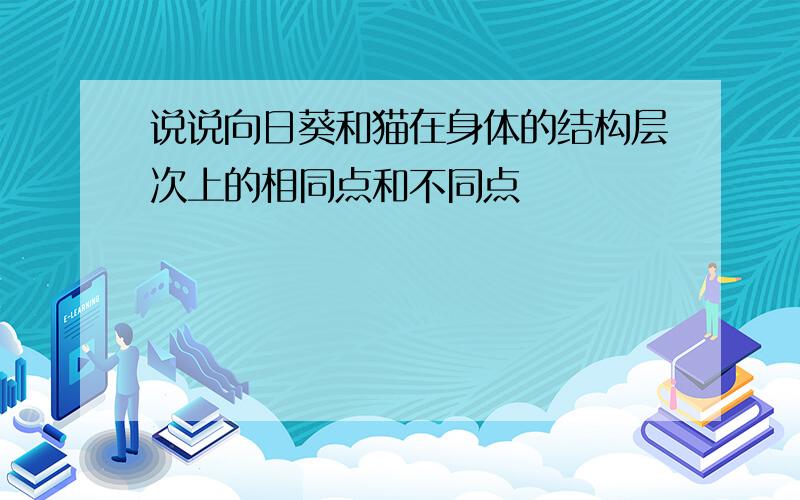 说说向日葵和猫在身体的结构层次上的相同点和不同点