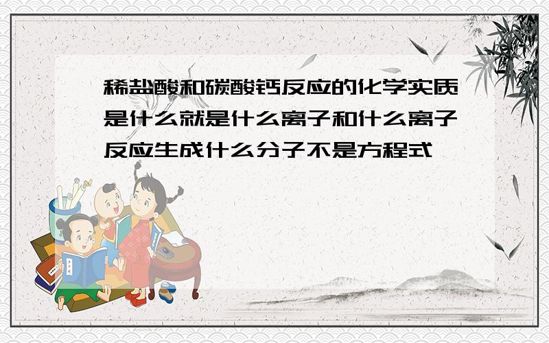 稀盐酸和碳酸钙反应的化学实质是什么就是什么离子和什么离子反应生成什么分子不是方程式