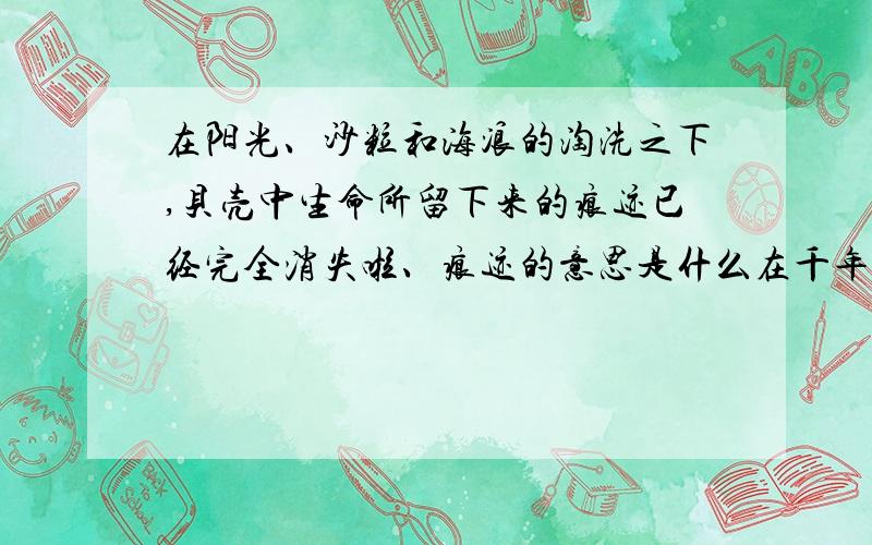 在阳光、沙粒和海浪的淘洗之下,贝壳中生命所留下来的痕迹已经完全消失啦、痕迹的意思是什么在千年之后、也许会有人对我留下的痕迹反复观看,反复把玩...初中第三课短文二篇练习册中