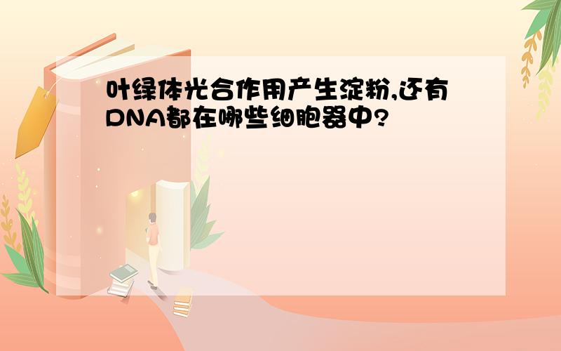 叶绿体光合作用产生淀粉,还有DNA都在哪些细胞器中?