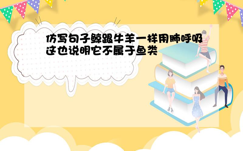 仿写句子鲸跟牛羊一样用肺呼吸这也说明它不属于鱼类