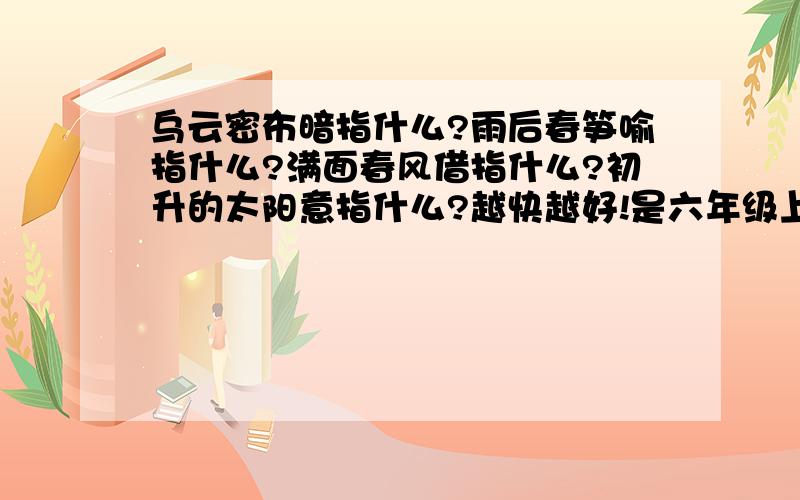 乌云密布暗指什么?雨后春笋喻指什么?满面春风借指什么?初升的太阳意指什么?越快越好!是六年级上册的23棵词语手册里的,知道者请速回答案,