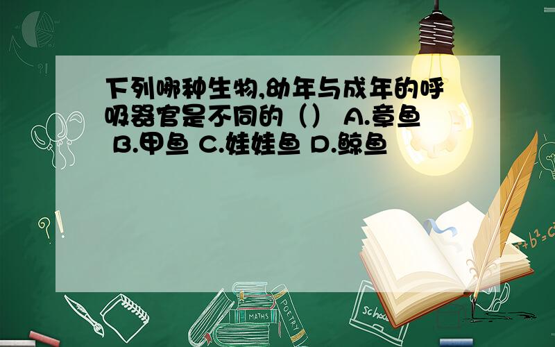 下列哪种生物,幼年与成年的呼吸器官是不同的（） A.章鱼 B.甲鱼 C.娃娃鱼 D.鲸鱼