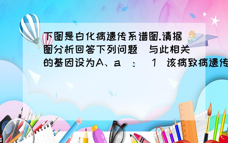 下图是白化病遗传系谱图.请据图分析回答下列问题（与此相关的基因设为A、a）：（1）该病致病遗传因子是 性基因,I1的遗传因子组成是 .（2）II6和II7若生第二胎,患病的几率是 .（3）假设III1