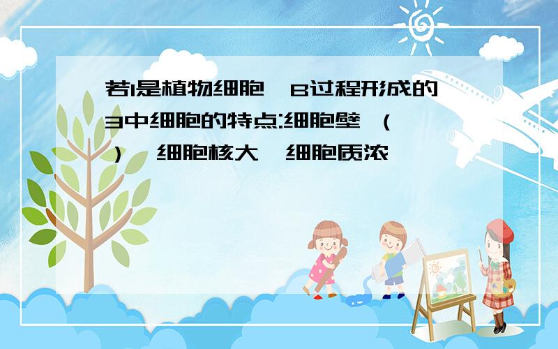 若1是植物细胞,B过程形成的3中细胞的特点:细胞壁 （ ）,细胞核大,细胞质浓