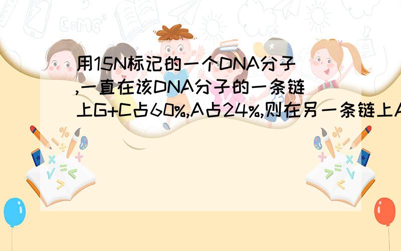 用15N标记的一个DNA分子,一直在该DNA分子的一条链上G+C占60%,A占24%,则在另一条链上A占整个DNA分子的碱基比例为:A.60% B.24% C.8% D.16%为什么