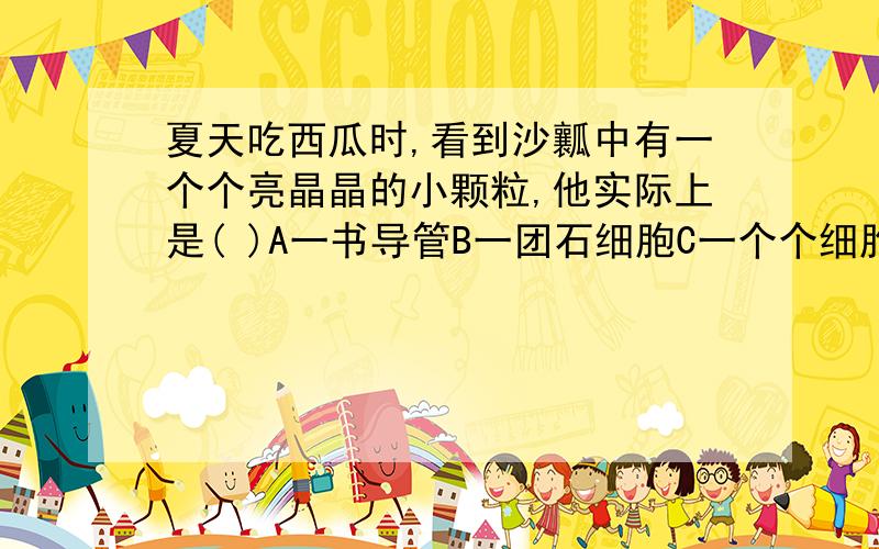 夏天吃西瓜时,看到沙瓤中有一个个亮晶晶的小颗粒,他实际上是( )A一书导管B一团石细胞C一个个细胞D一团机械组织