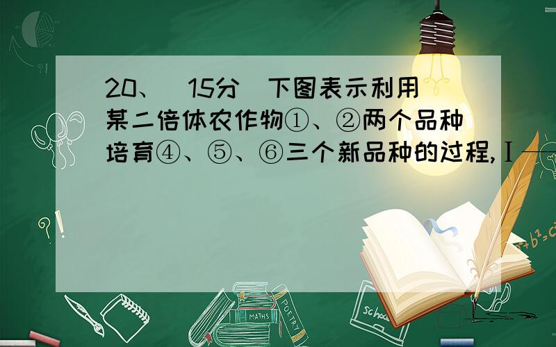 20、（15分）下图表示利用某二倍体农作物①、②两个品种培育④、⑤、⑥三个新品种的过程,Ⅰ—— Ⅴ表示育种过程,两对基因独立遗传,分析回答： （3）由图中Ⅰ→Ⅱ获得④时,Aabb所占比例