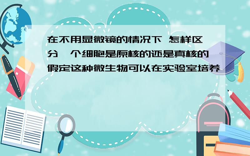 在不用显微镜的情况下 怎样区分一个细胞是原核的还是真核的假定这种微生物可以在实验室培养