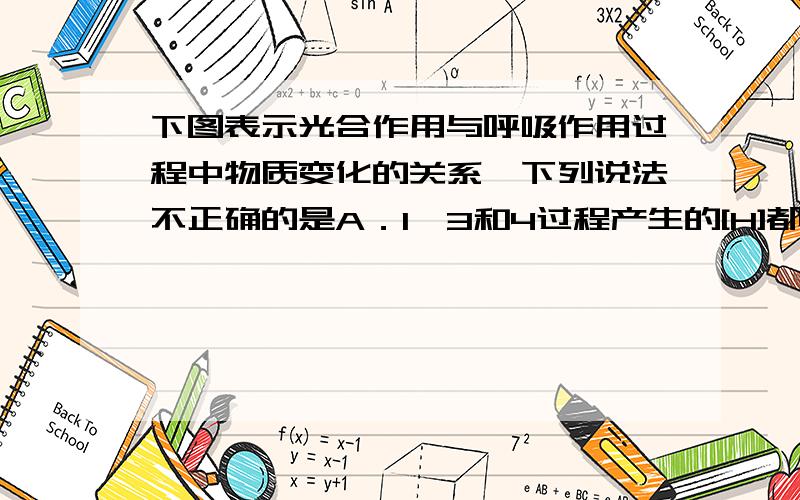 下图表示光合作用与呼吸作用过程中物质变化的关系,下列说法不正确的是A．1、3和4过程产生的[H]都能与氧结合产生水\x05B．各种生物体（病毒除外）都能进行的过程是3\x05C．能提供给绿色植