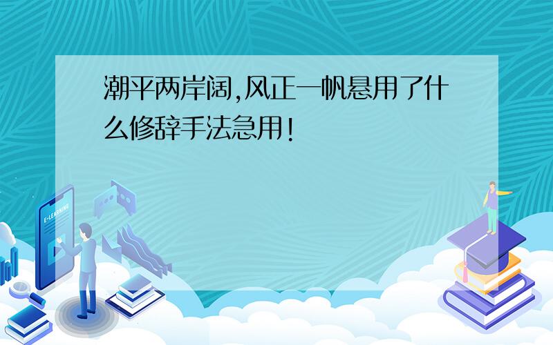 潮平两岸阔,风正一帆悬用了什么修辞手法急用!