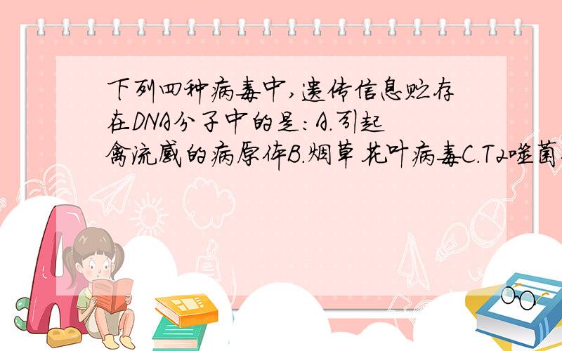 下列四种病毒中,遗传信息贮存在DNA分子中的是：A.引起禽流感的病原体B.烟草花叶病毒C.T2噬菌体D.引起A...下列四种病毒中,遗传信息贮存在DNA分子中的是：A.引起禽流感的病原体B.烟草花叶病