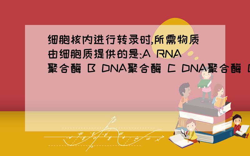 细胞核内进行转录时,所需物质由细胞质提供的是:A RNA聚合酶 B DNA聚合酶 C DNA聚合酶 D 解旋酶 为什么选A ,不选 D