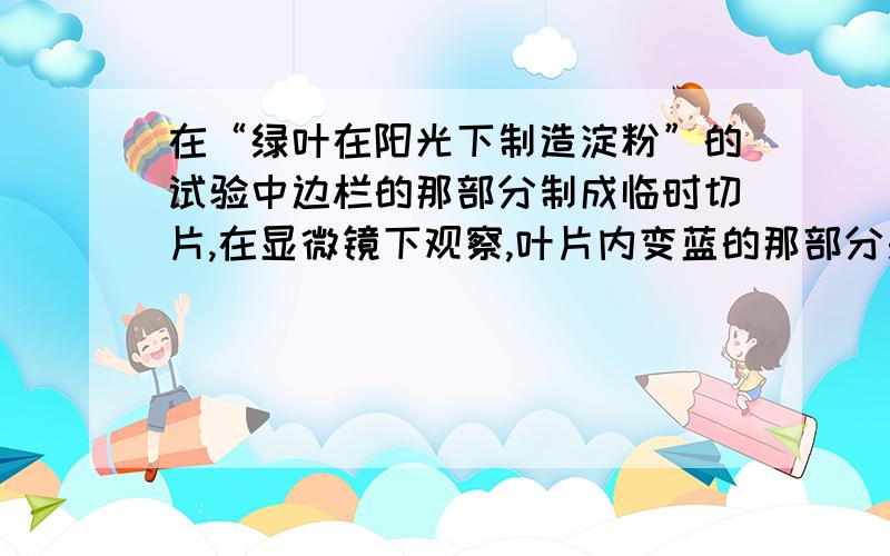 在“绿叶在阳光下制造淀粉”的试验中边栏的那部分制成临时切片,在显微镜下观察,叶片内变蓝的那部分是（ ） A.表皮细胞 叶肉细胞 叶脉 导管.