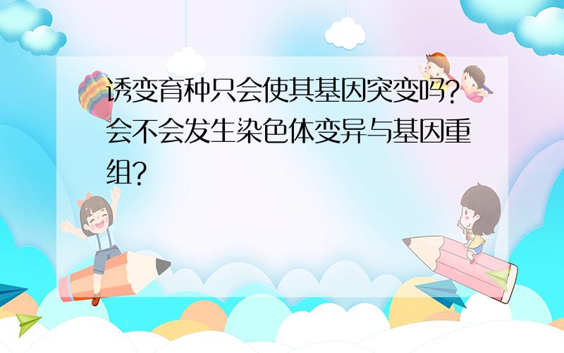 诱变育种只会使其基因突变吗?会不会发生染色体变异与基因重组?