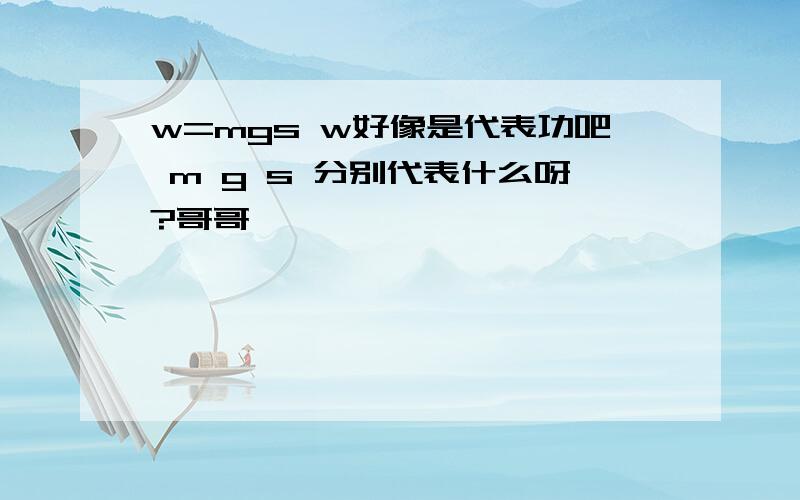 w=mgs w好像是代表功吧 m g s 分别代表什么呀?哥哥