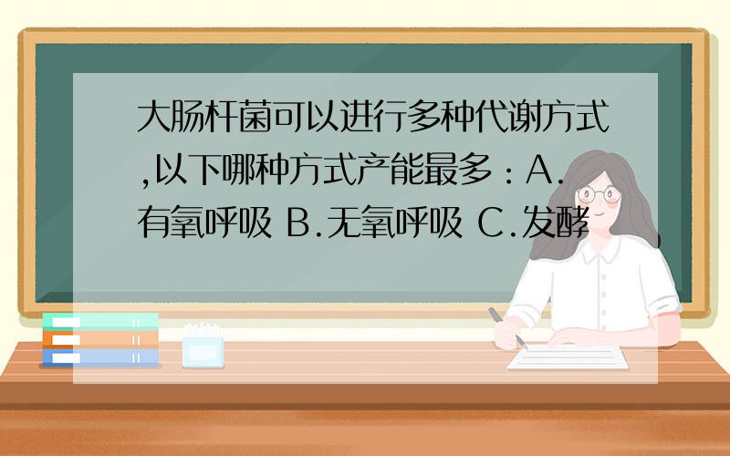 大肠杆菌可以进行多种代谢方式,以下哪种方式产能最多：A.有氧呼吸 B.无氧呼吸 C.发酵