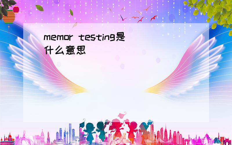 memor testing是什么意思