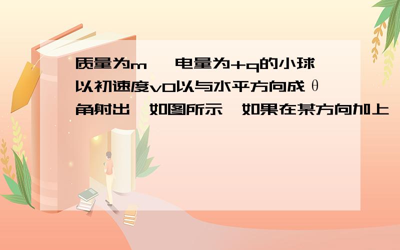 质量为m 、电量为+q的小球以初速度v0以与水平方向成θ角射出,如图所示,如果在某方向加上一定大小的匀强电场后,能保证小球仍沿v0方向做直线运动,所加匀强电场的最小值为沿着如图所示的F