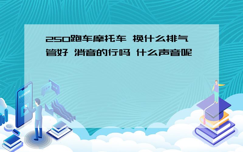 250跑车摩托车 换什么排气管好 消音的行吗 什么声音呢