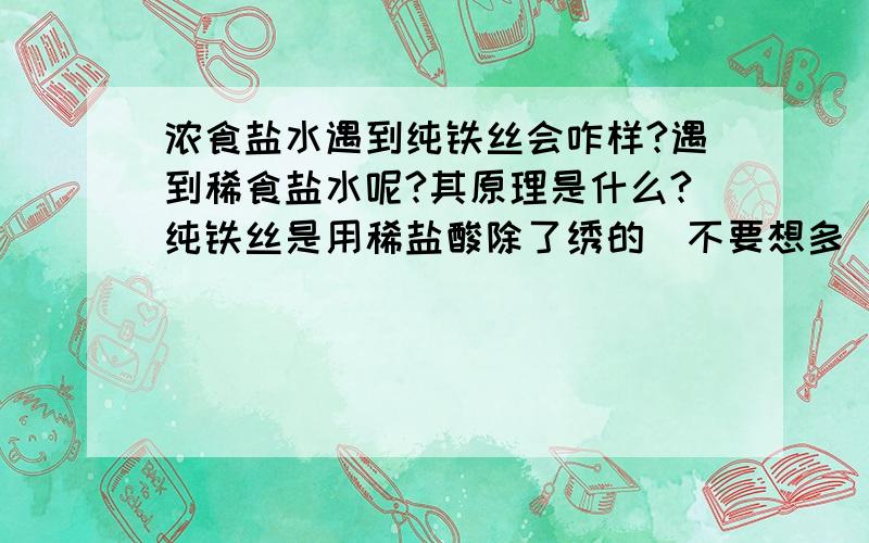 浓食盐水遇到纯铁丝会咋样?遇到稀食盐水呢?其原理是什么?纯铁丝是用稀盐酸除了绣的（不要想多）