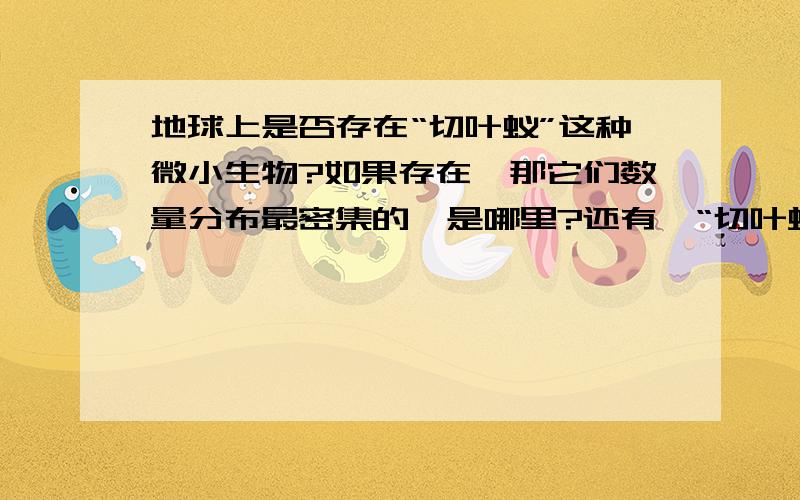 地球上是否存在“切叶蚁”这种微小生物?如果存在,那它们数量分布最密集的,是哪里?还有,“切叶蚁”的名字是怎么来的?