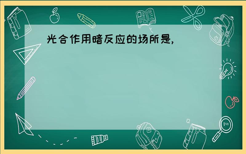 光合作用暗反应的场所是,