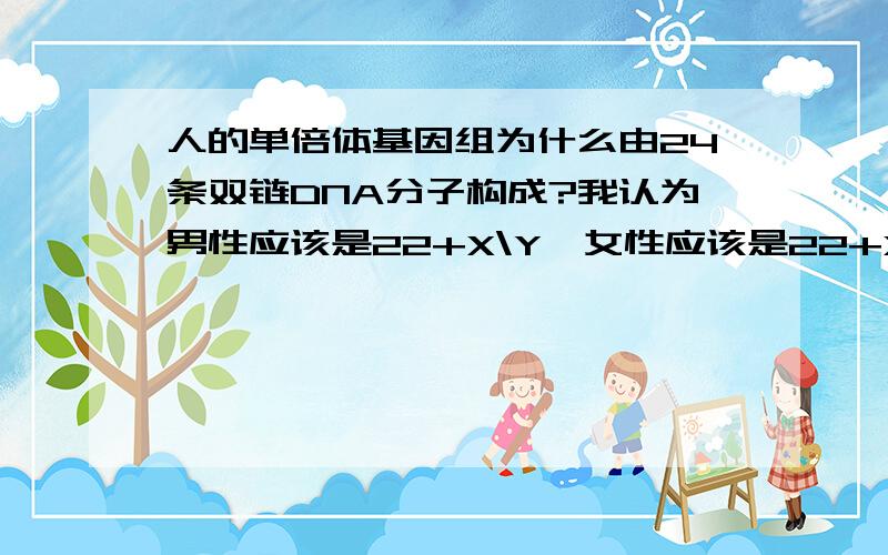 人的单倍体基因组为什么由24条双链DNA分子构成?我认为男性应该是22+X\Y,女性应该是22+X.请问这样算哪不对?