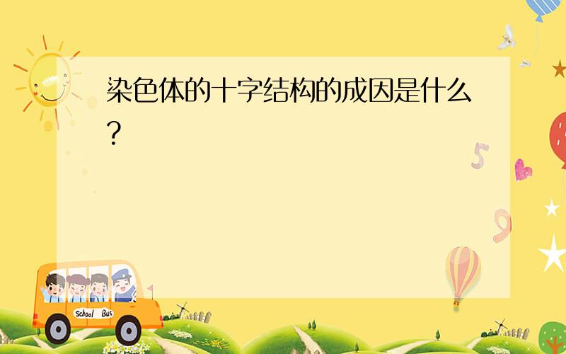 染色体的十字结构的成因是什么?