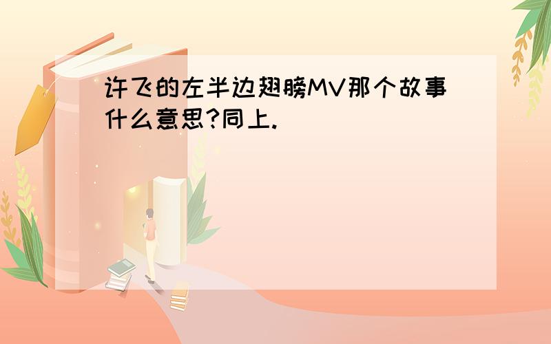 许飞的左半边翅膀MV那个故事什么意思?同上.