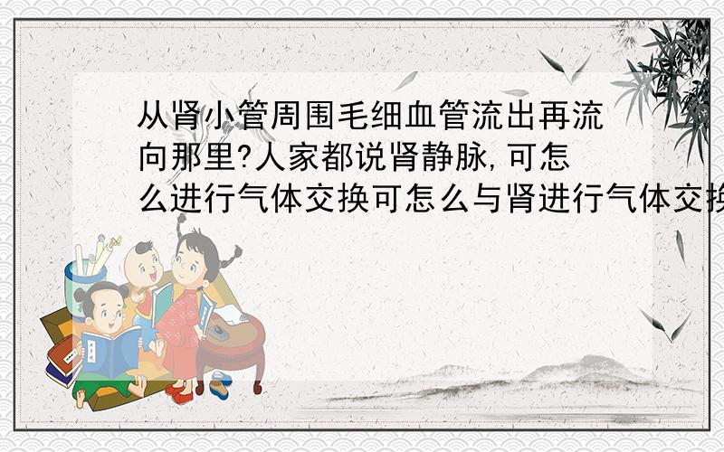 从肾小管周围毛细血管流出再流向那里?人家都说肾静脉,可怎么进行气体交换可怎么与肾进行气体交换