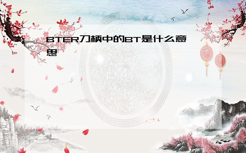 BTER刀柄中的BT是什么意思