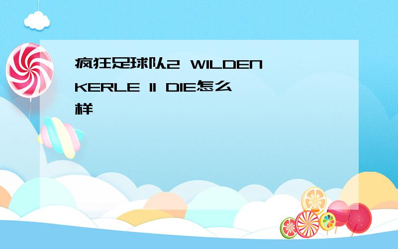 疯狂足球队2 WILDEN KERLE II DIE怎么样