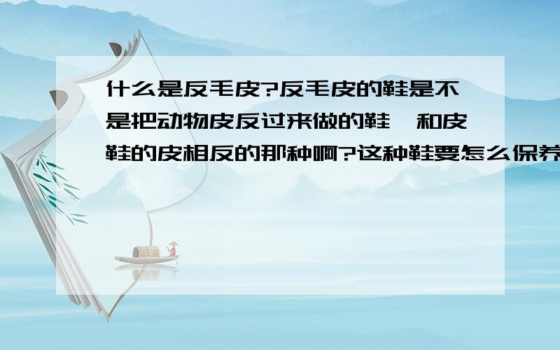 什么是反毛皮?反毛皮的鞋是不是把动物皮反过来做的鞋,和皮鞋的皮相反的那种啊?这种鞋要怎么保养和清洁啊?