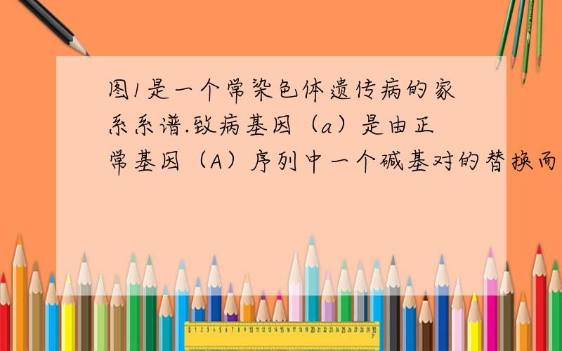 图1是一个常染色体遗传病的家系系谱.致病基因（a）是由正常基因（A）序列中一个碱基对的替换而形成的.图2显示的是A和a基因区域中某限制酶的酶切位点.分别提取家系中Ⅰ1Ⅰ2和Ⅱ1的DNA,经