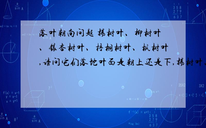 落叶朝向问题 杨树叶、柳树叶、银杏树叶、梧桐树叶、枫树叶,请问它们落地叶面是朝上还是下,杨树叶、柳树叶、银杏树叶、梧桐树叶、枫树叶,请问它们落地页面是朝上还是下,