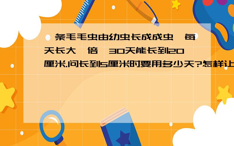 一条毛毛虫由幼虫长成成虫,每天长大一倍,30天能长到20厘米.问长到5厘米时要用多少天?怎样让小学三年级的孩子听懂