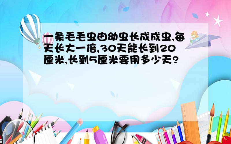 一条毛毛虫由幼虫长成成虫,每天长大一倍,30天能长到20厘米,长到5厘米要用多少天?