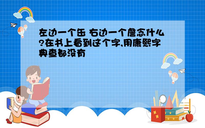 左边一个缶 右边一个詹念什么?在书上看到这个字,用康熙字典查都没有