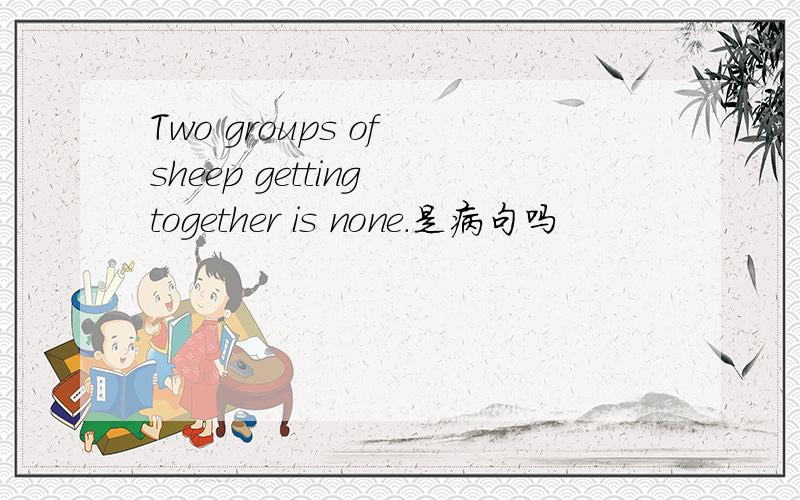 Two groups of sheep getting together is none.是病句吗