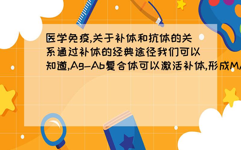 医学免疫,关于补体和抗体的关系通过补体的经典途径我们可以知道,Ag-Ab复合体可以激活补体,形成MAC,最后使抗原溶解.那么,是否抗体之所以具有消灭抗原的能力,其实都是因为补体的作用呢?