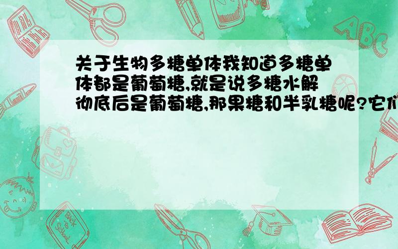 关于生物多糖单体我知道多糖单体都是葡萄糖,就是说多糖水解彻底后是葡萄糖,那果糖和半乳糖呢?它们俩不算单糖?不能用来组成多糖?它们俩是干嘛的?