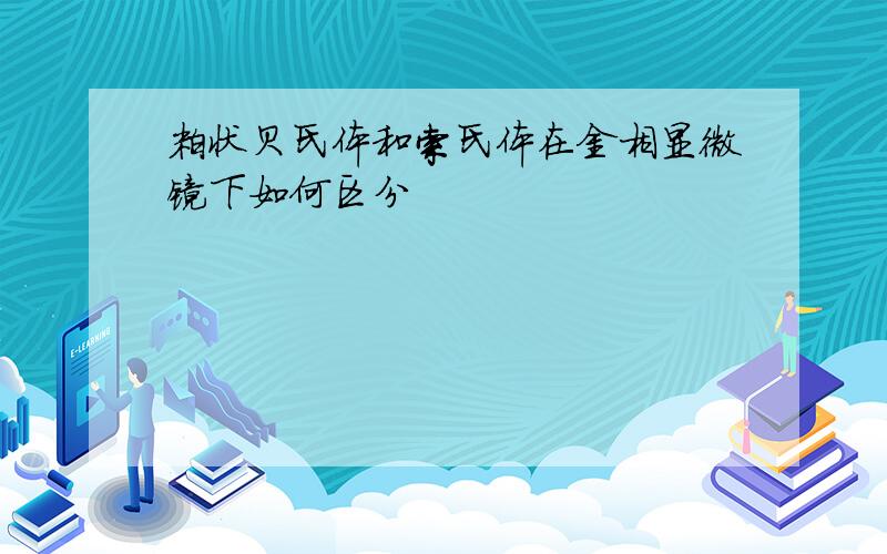 粒状贝氏体和索氏体在金相显微镜下如何区分